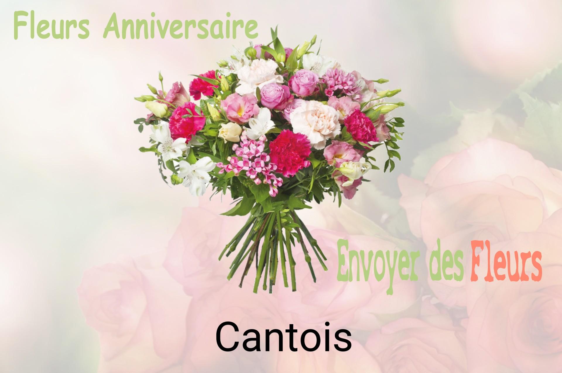Bouquet de fleurs d’anniversaire livré à Cantois