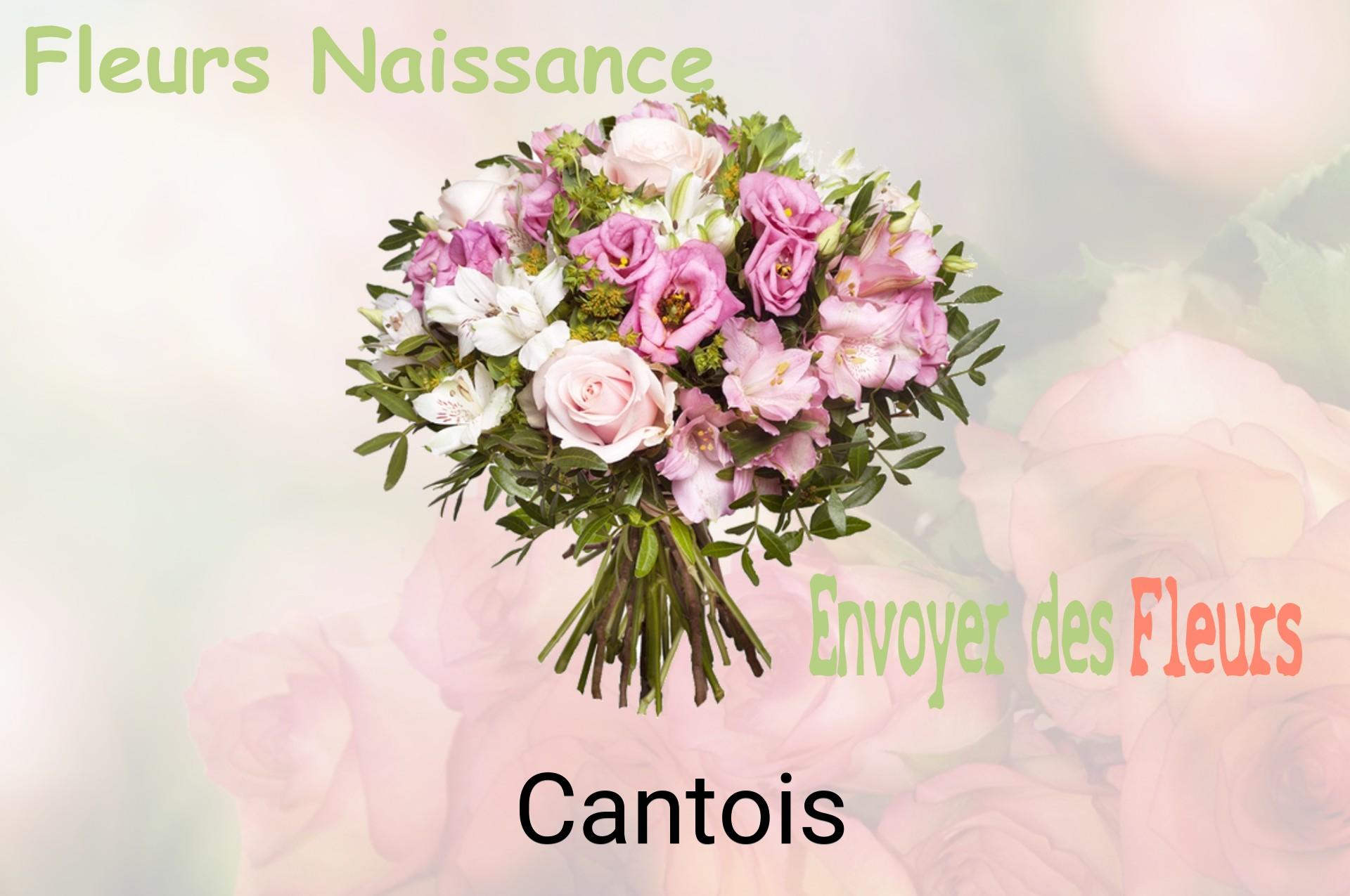 Bouquet de fleurs de naissance livré à Cantois