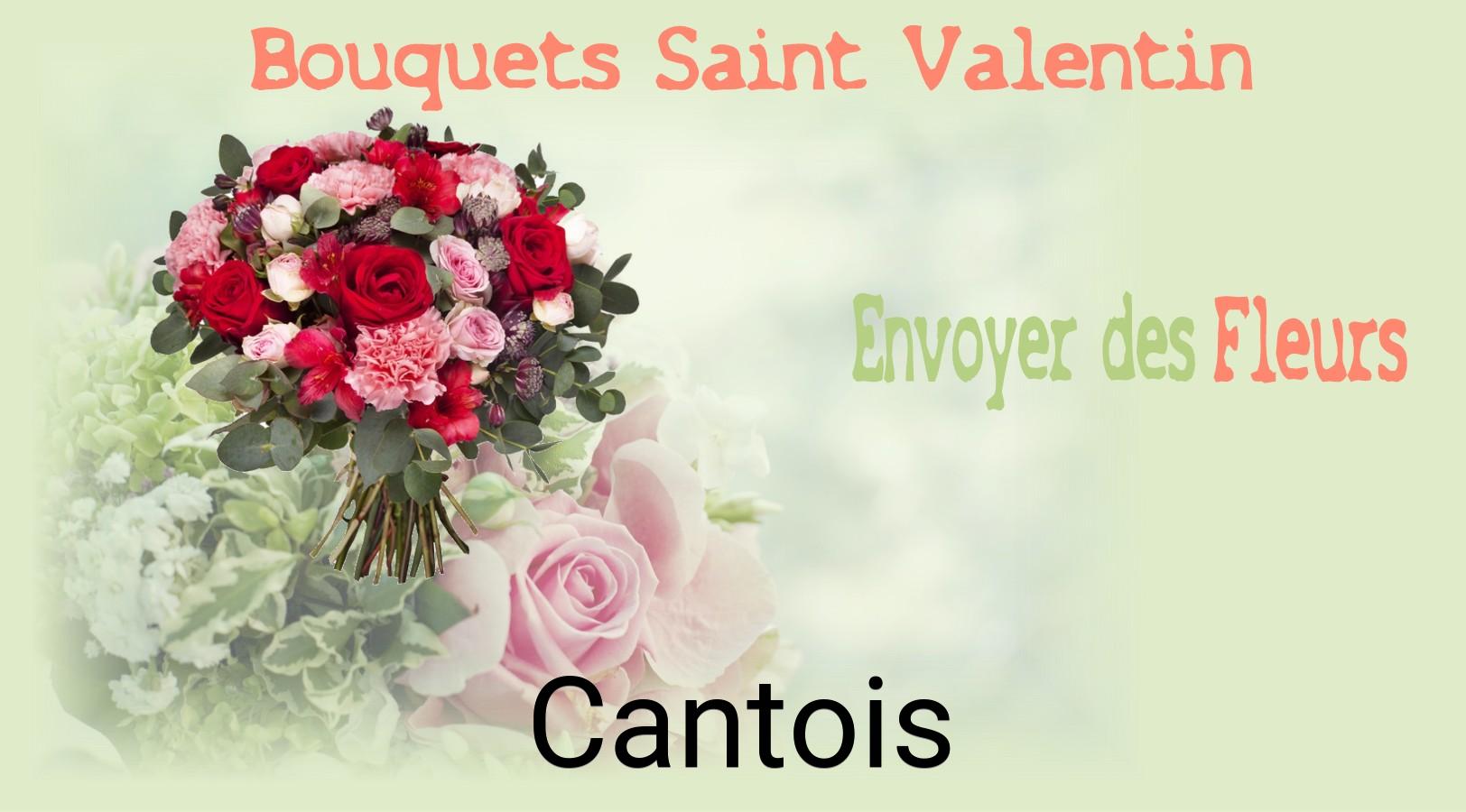 Roses de Saint-Valentin livrées à Cantois